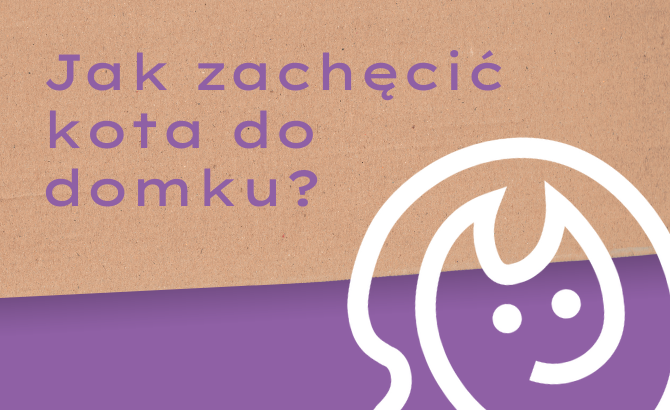 Jak oswoić kota z nowym domkiem?