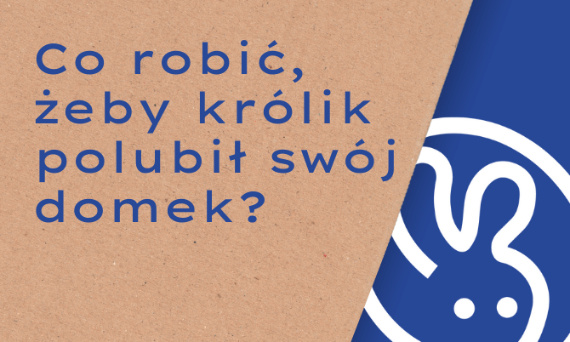 Kilka sposobów na zapoznanie królika z domkiem